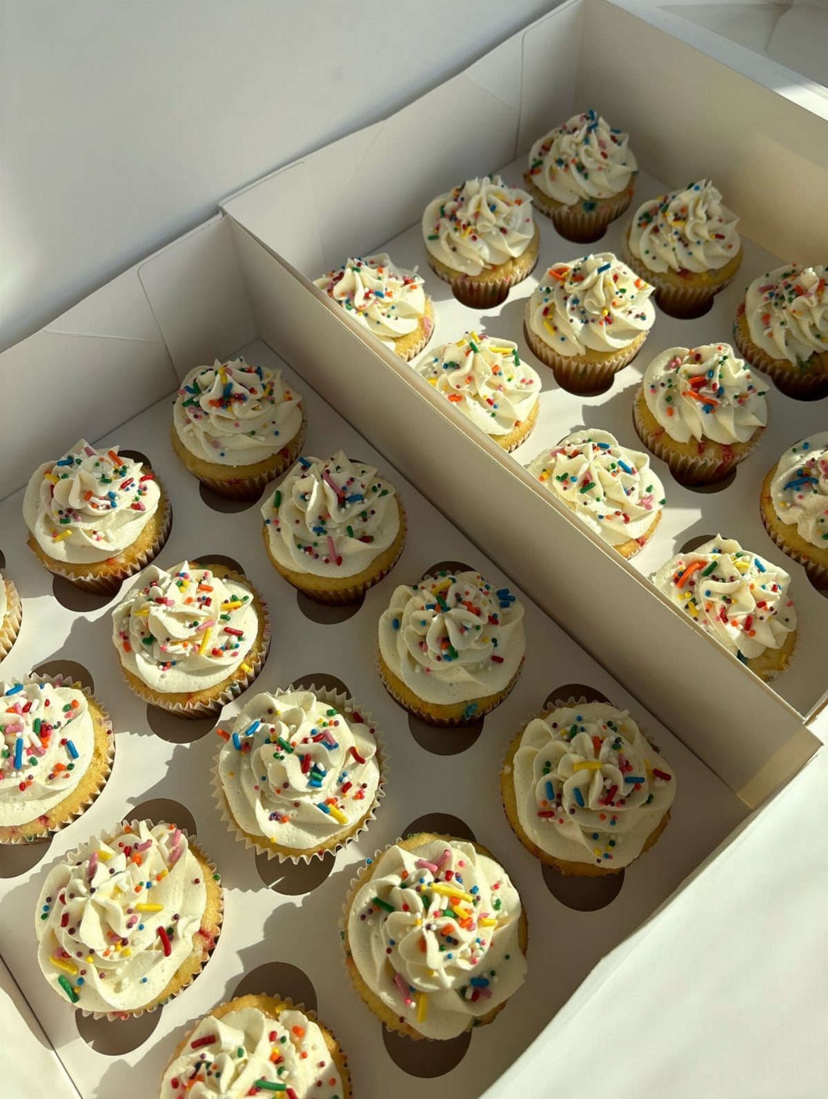 Vanilla cupcakes with white frosting and rainbow sprinkles in a white bakery box.