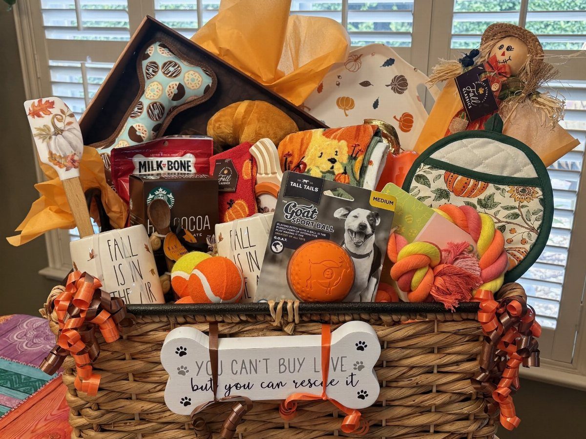 Wicker basket filled with dog treats, toys, and autumn-themed pet accessories.
