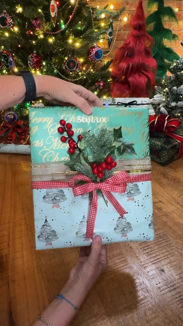 Wrapped gift with blue paper and red checkered ribbon held before a Christmas tree