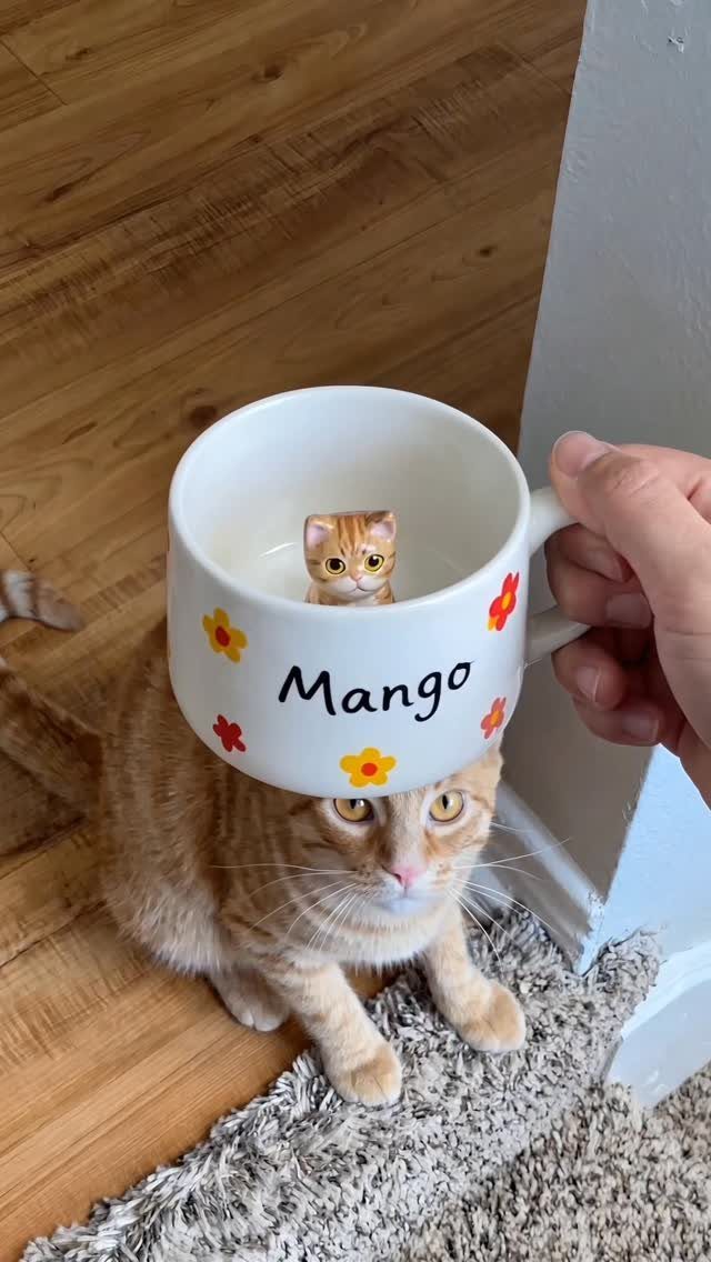White mug with a small cat figurine inside held in front of a cat
