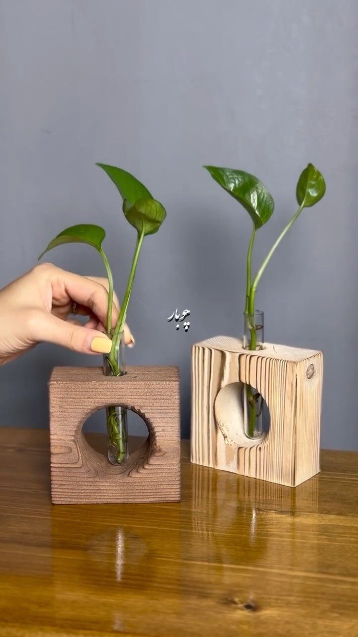 Small plant cuttings in wooden block vases on a polished wooden table.