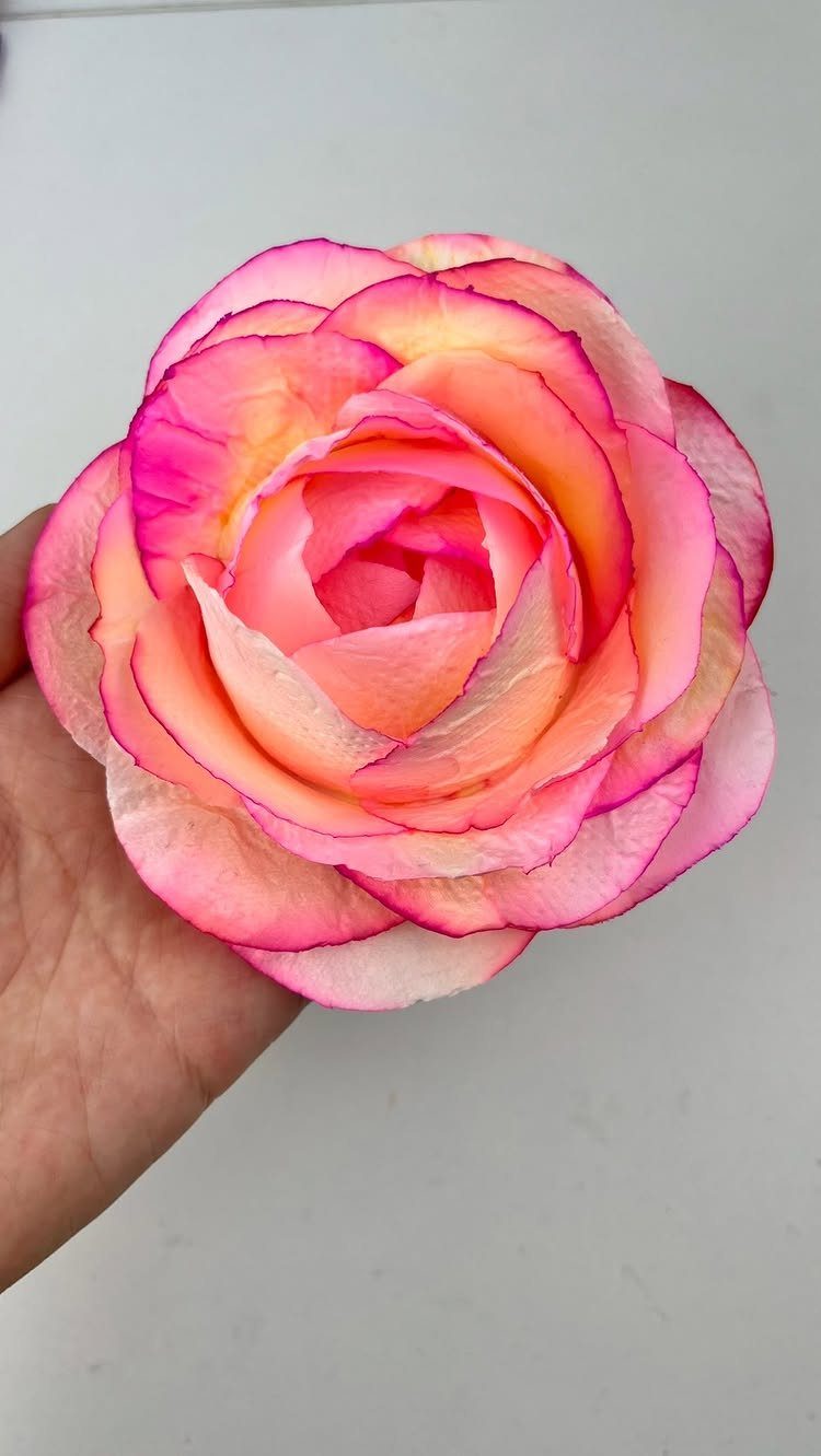 Handmade pink and yellow tissue paper rose held against a white background.