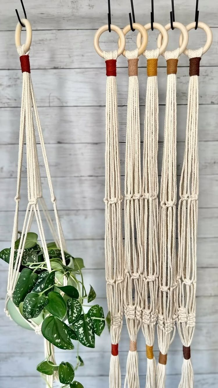 Cream macrame plant hangers with wooden rings, one holding a green leafy plant.
