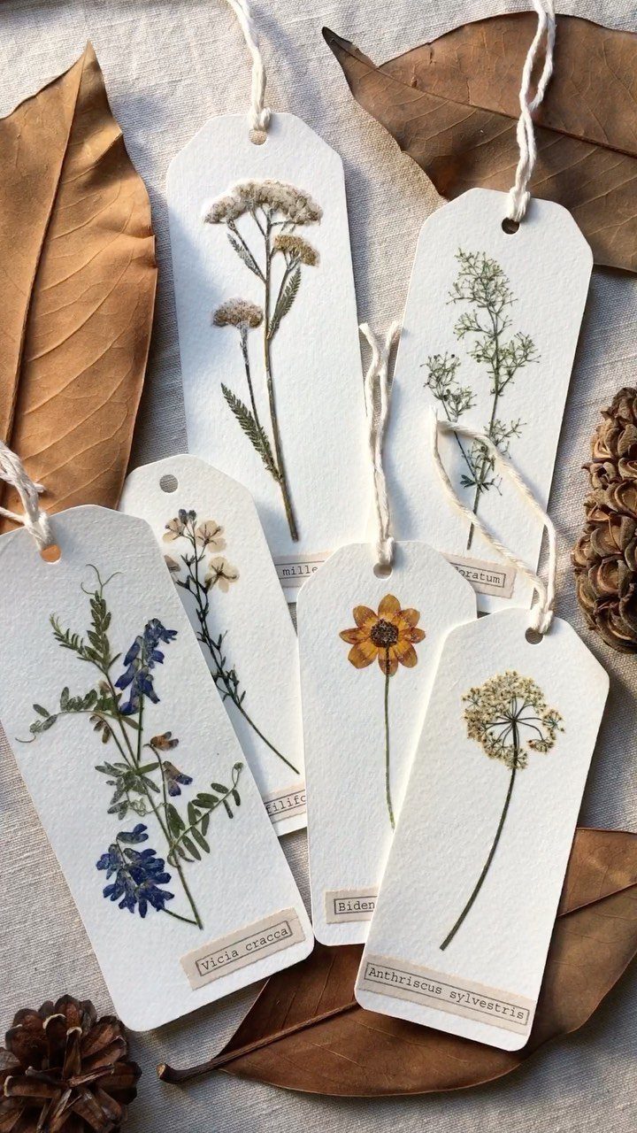 Pressed dried flowers on white cardstock bookmarks with botanical labels and autumn leaves.