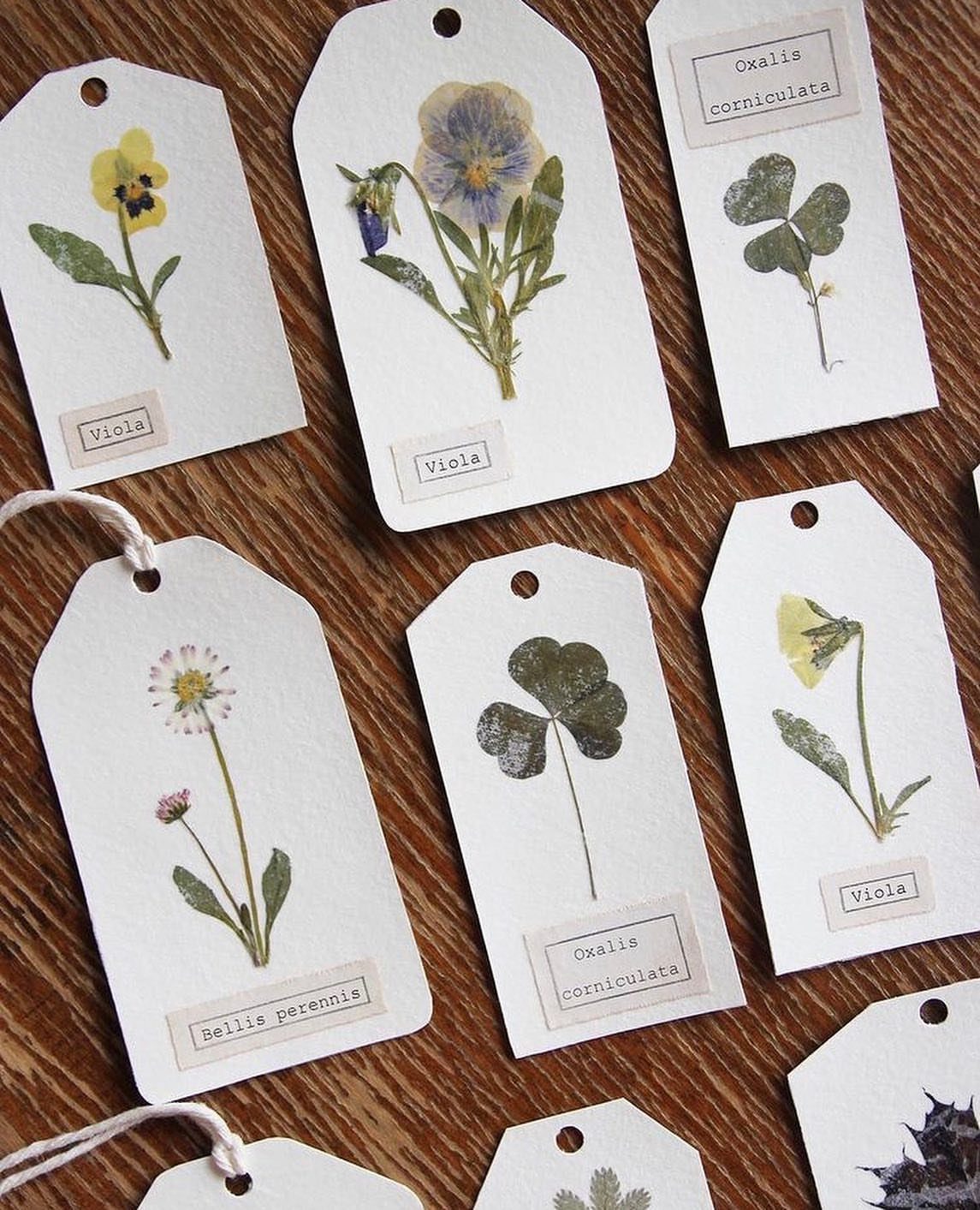 White gift tags featuring pressed dried flowers and botanical labels on wooden background