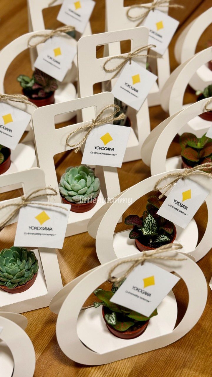 Small succulents in white cardboard frames with twine tags on a wooden table