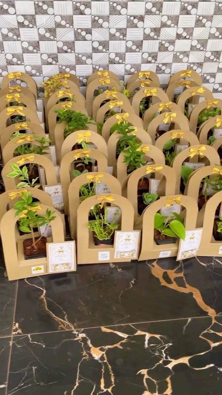 Small green plants in brown cardboard gift carriers with yellow ribbons on marble floor