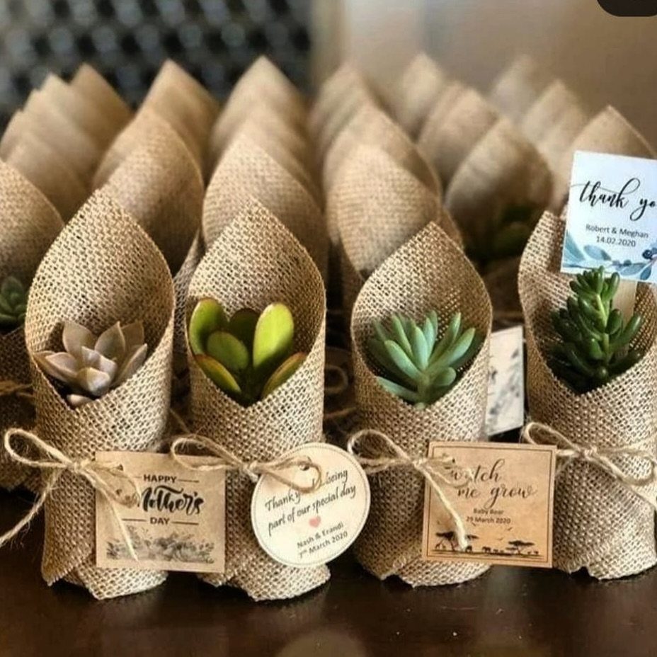 Succulent plants wrapped in brown burlap fabric tied with twine and paper tags.