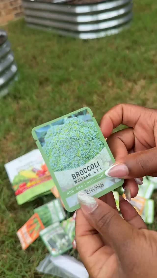 Hands holding a broccoli seed packet over other seed packets on green grass.