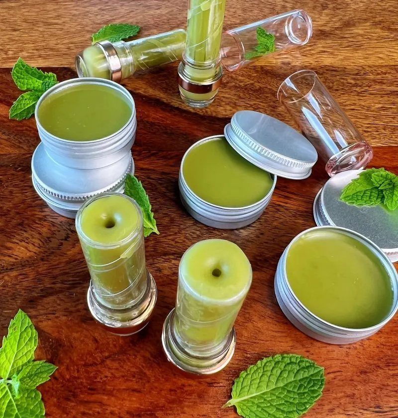 Green lip balm in tins and tubes with fresh mint leaves on wood.