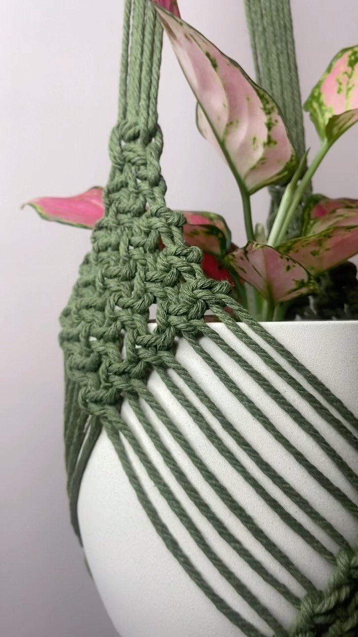 Green macrame plant hanger holding a white pot with a pink leafed plant.