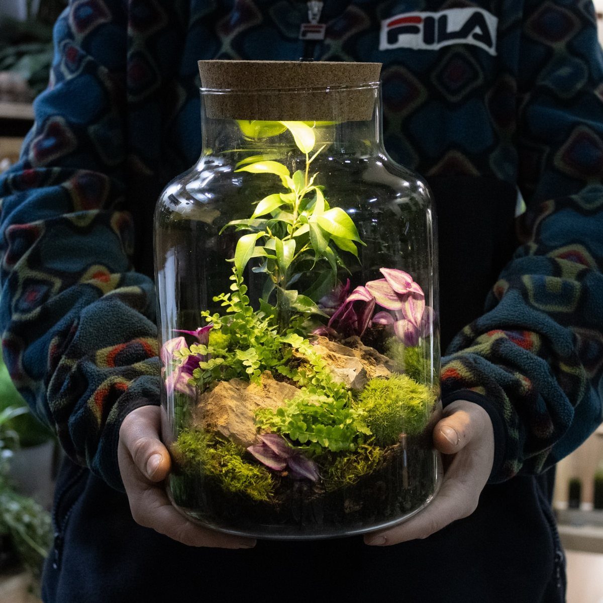 Glass jar terrarium with lush green plants and moss held by a person
