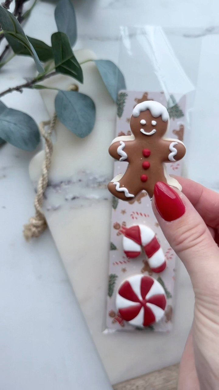 Gingerbread man and candy cookies in a clear bag held by a hand.