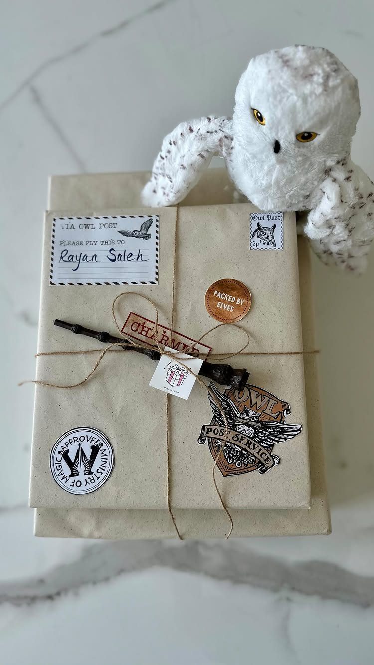 Brown wrapped book with Harry Potter themed stickers and a white plush owl.