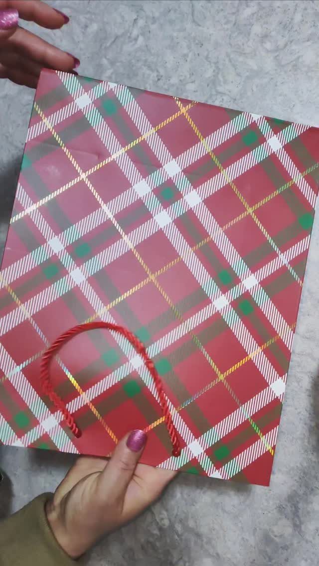 Plaid red and green gift bag with red rope handles held by hands.