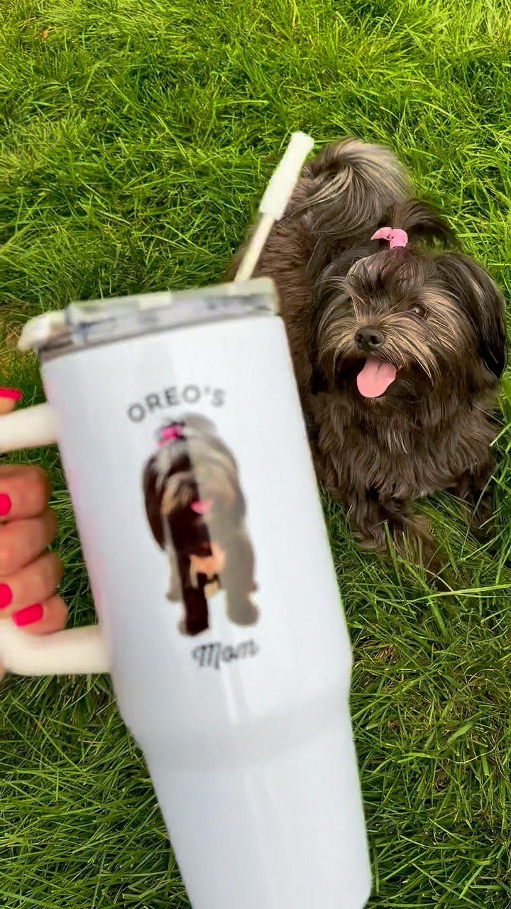 White personalized tumbler with dog illustration and text held over a brown dog.
