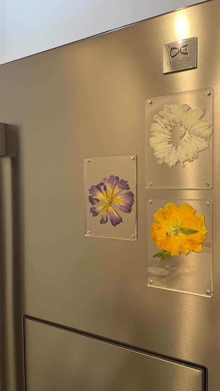 Pressed flowers in clear acrylic blocks displayed on a stainless steel refrigerator door.