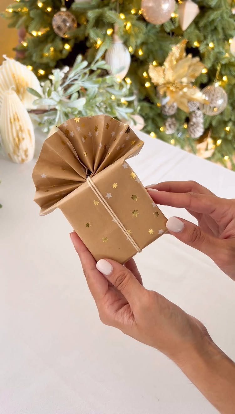Brown star-patterned gift wrap folded into a pleated cylinder shape held by hands.
